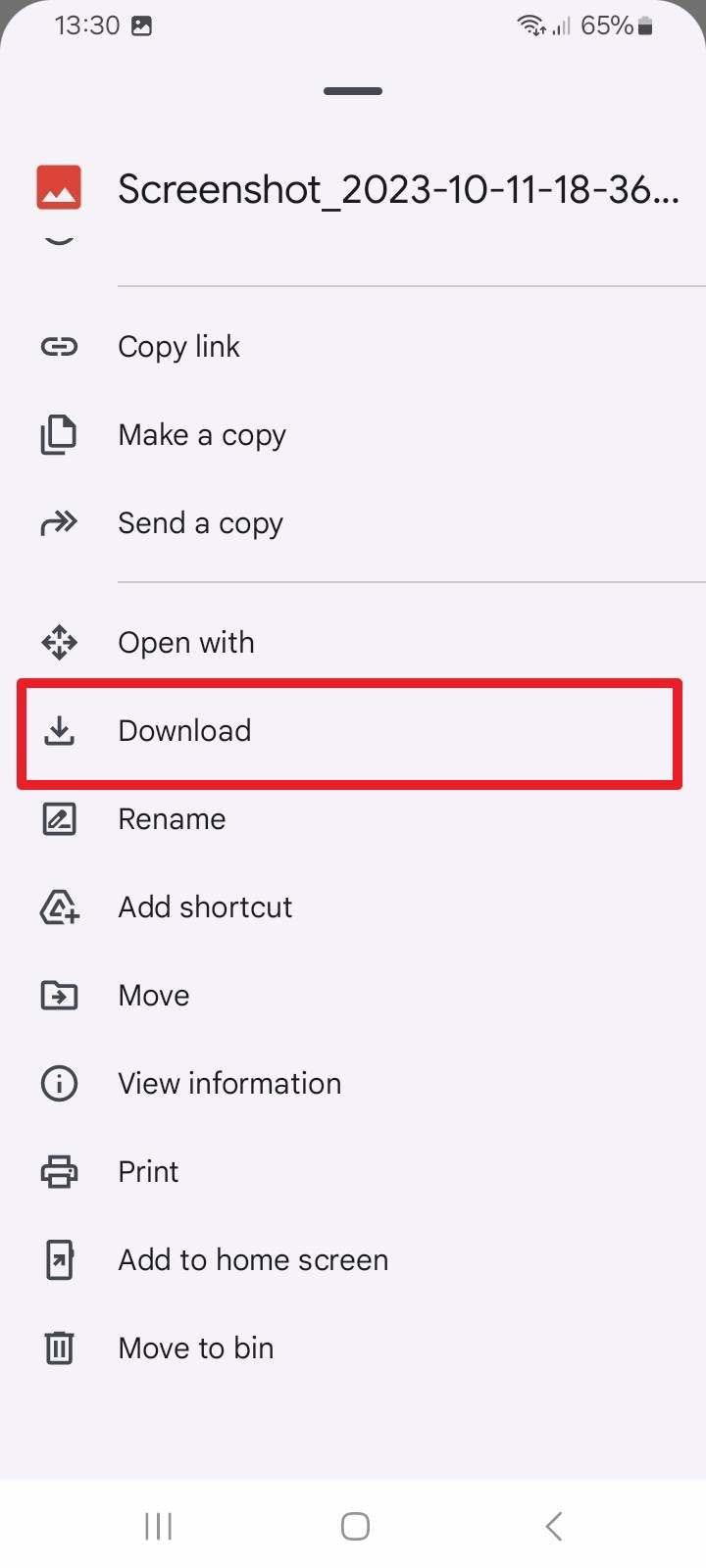 press the download option