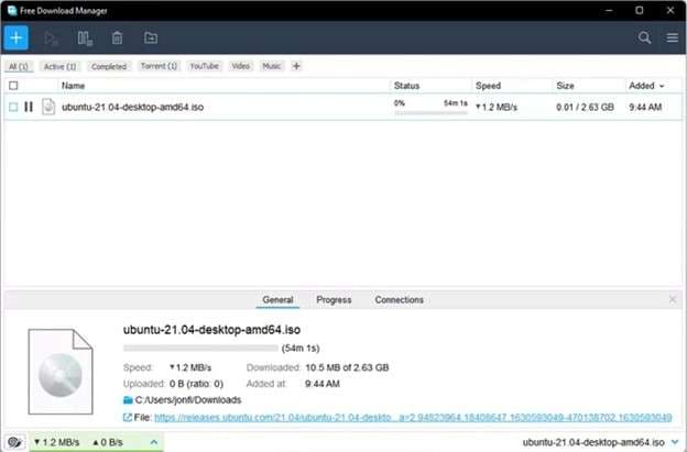 Free Download Manager getting a torrent file