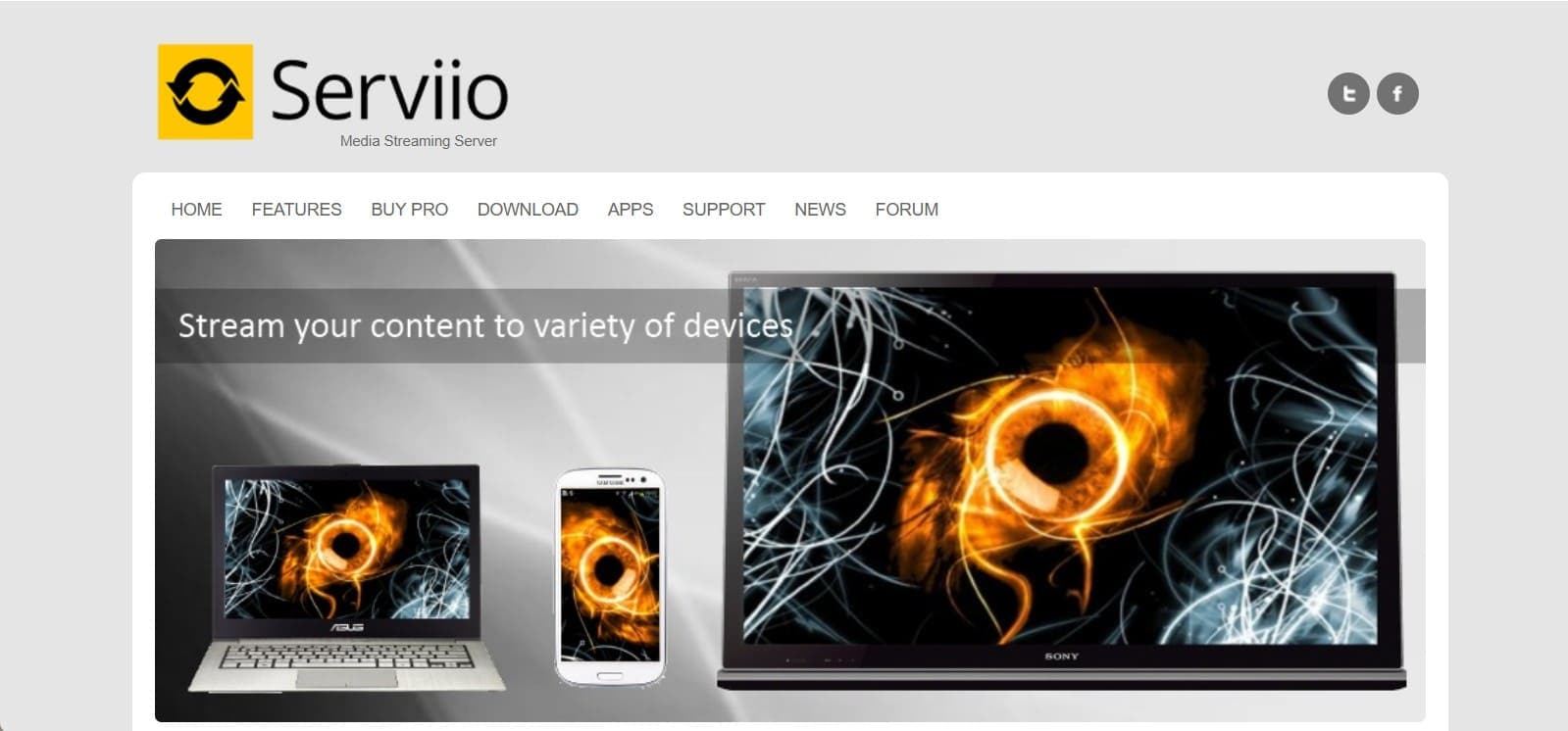 serviio jellyfin substitute option