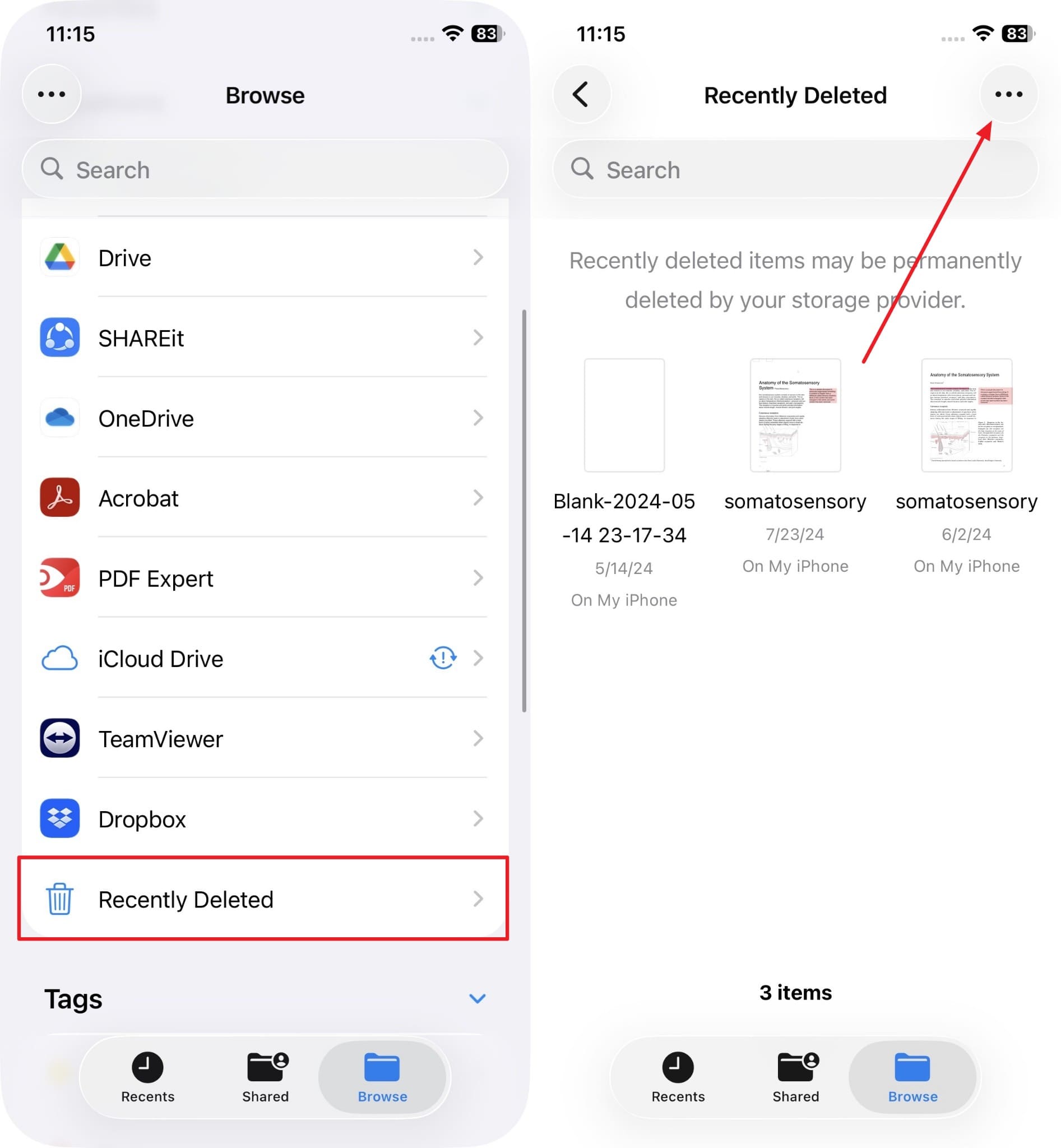 access recently deleted from files app