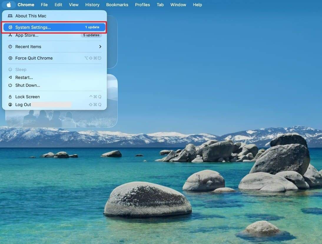 access mac system settings