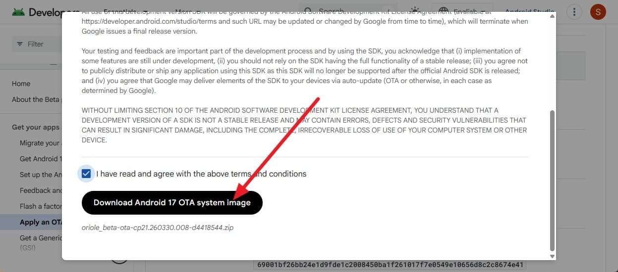download the file