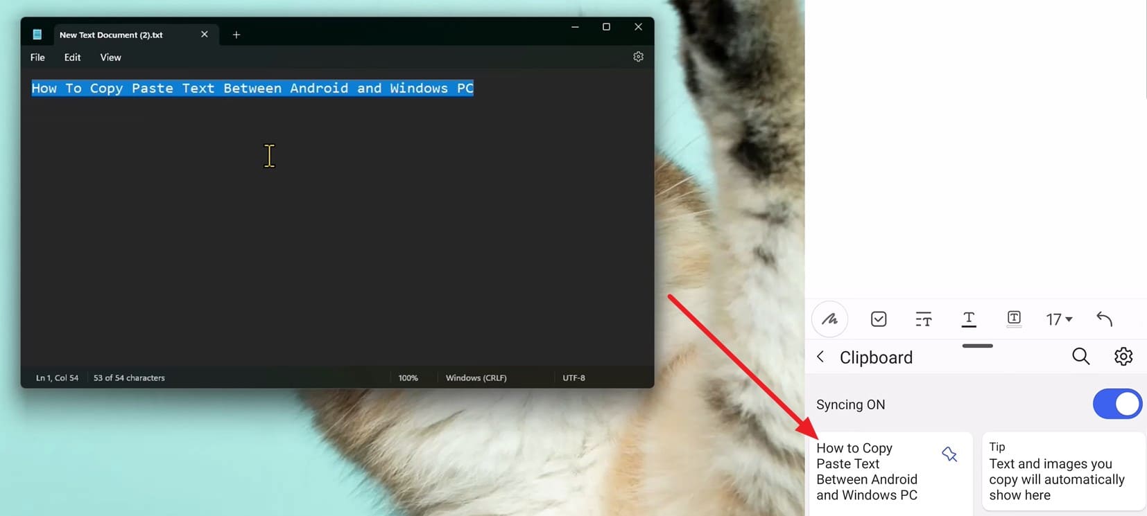 access the copied text