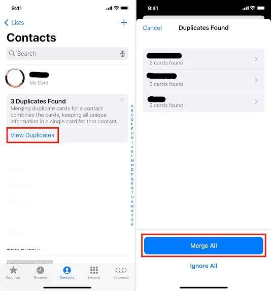 merge all duplicates