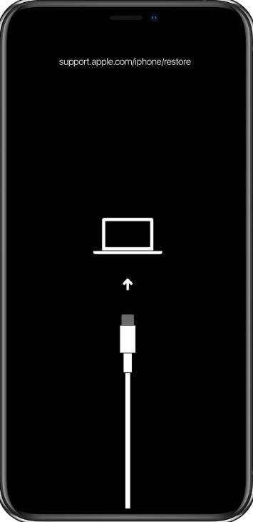 get the phone prompt
