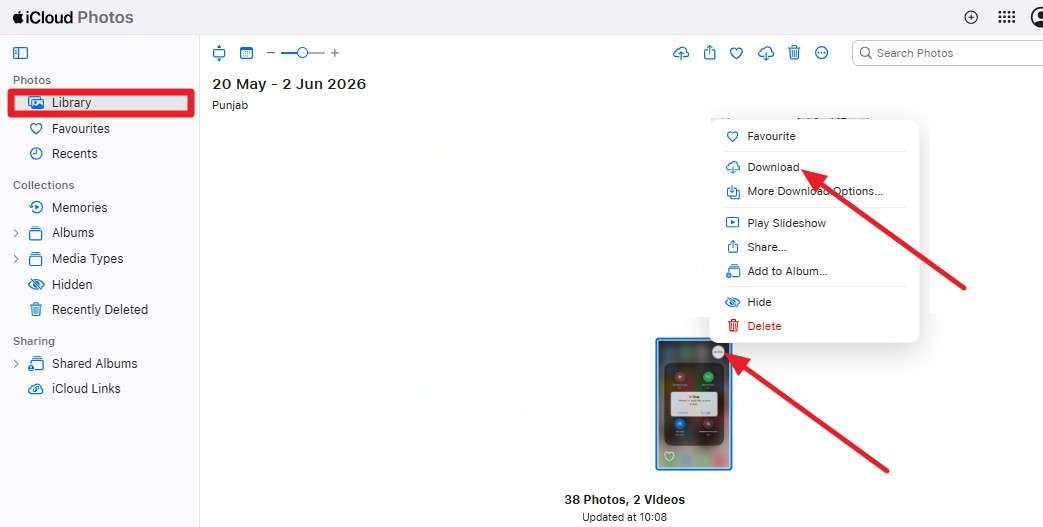 use the download option