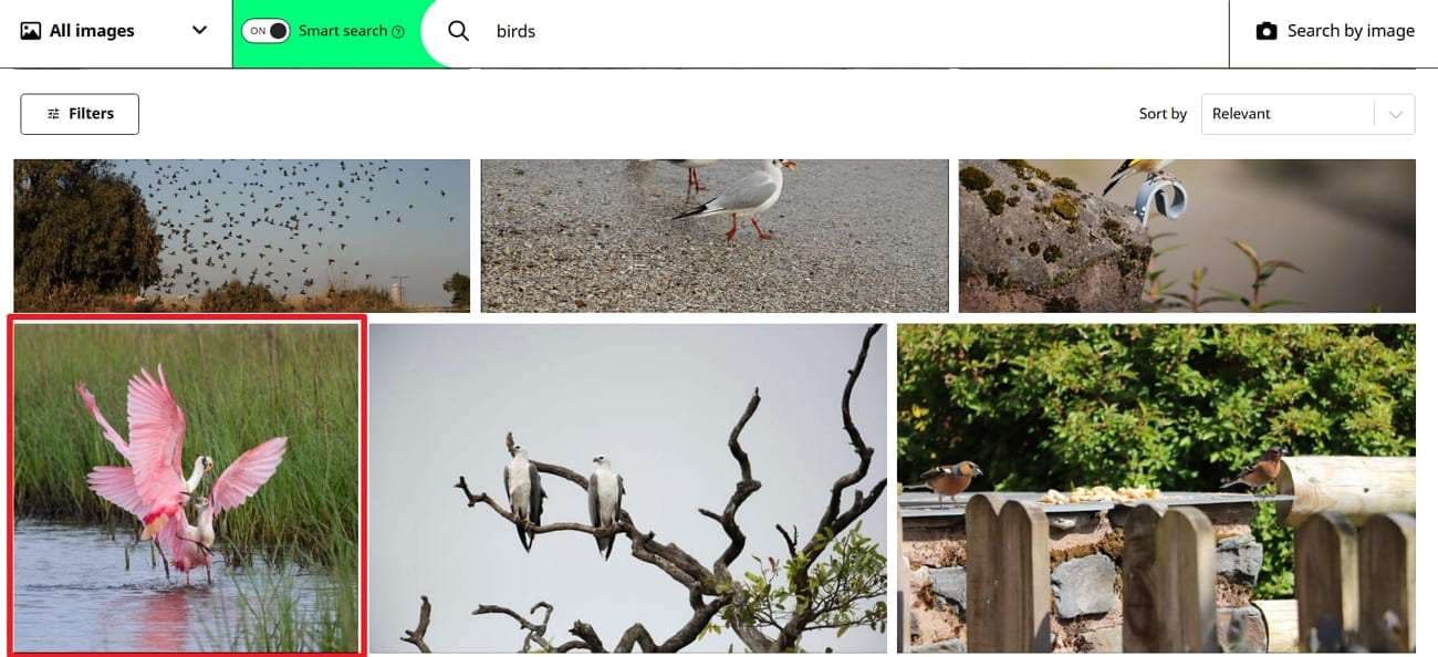 choose a alamy photo
