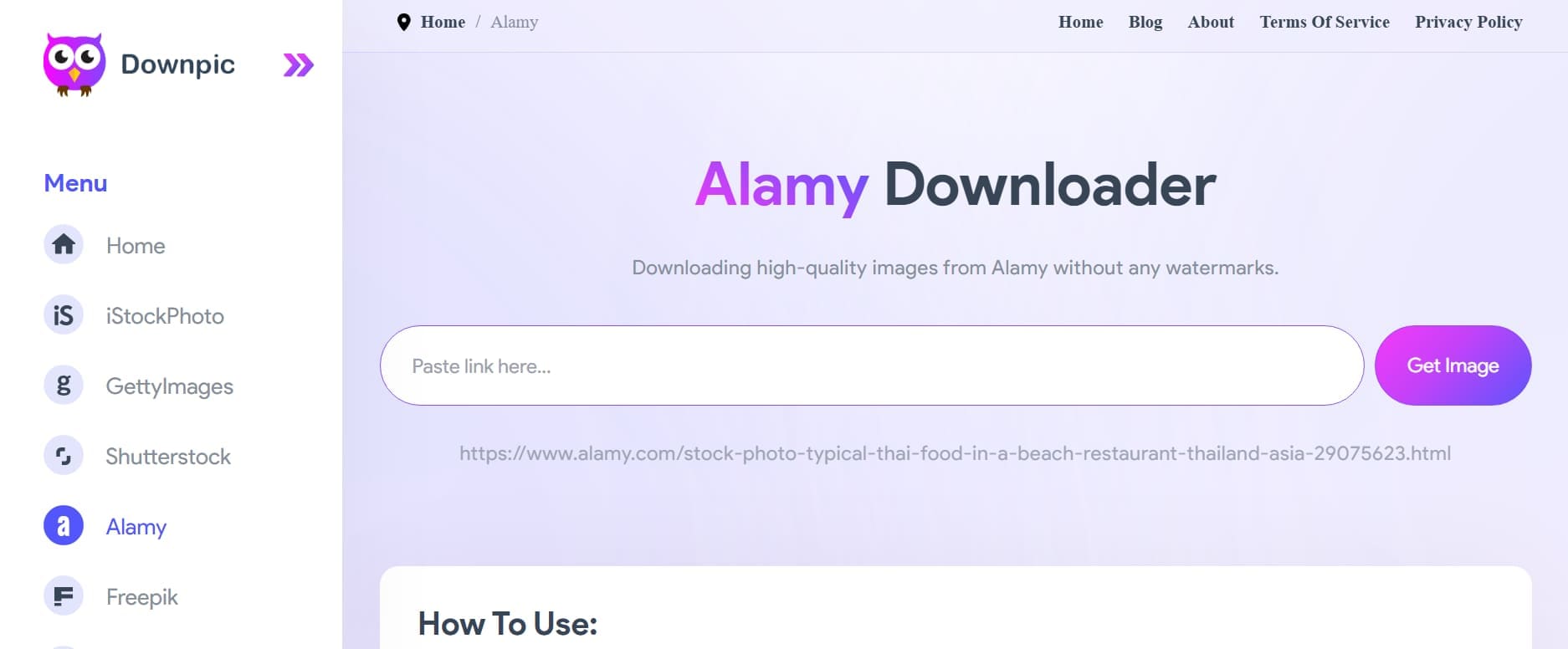 downpic tool