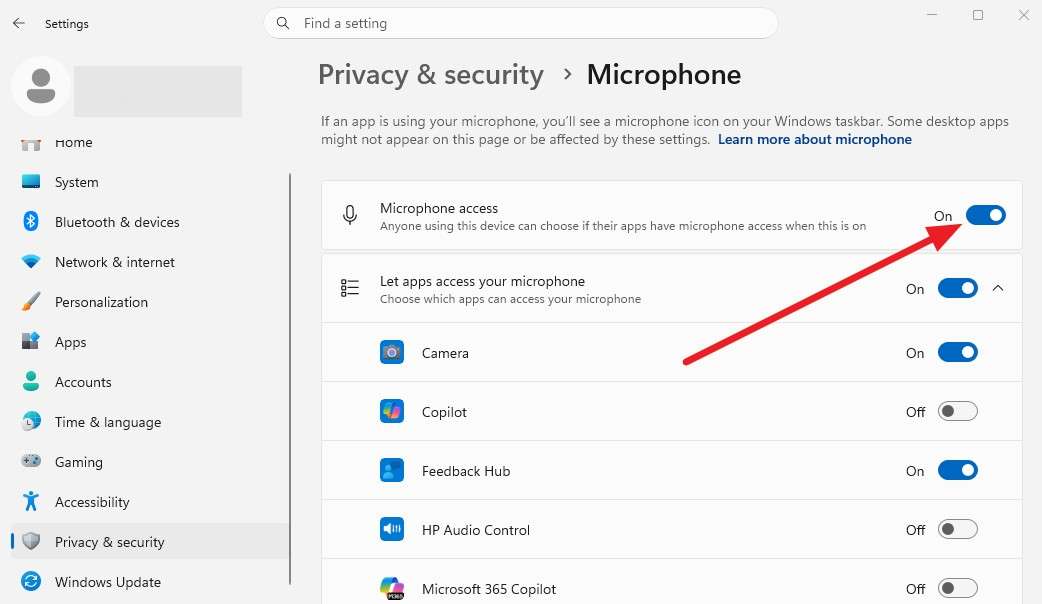 enable microphone access