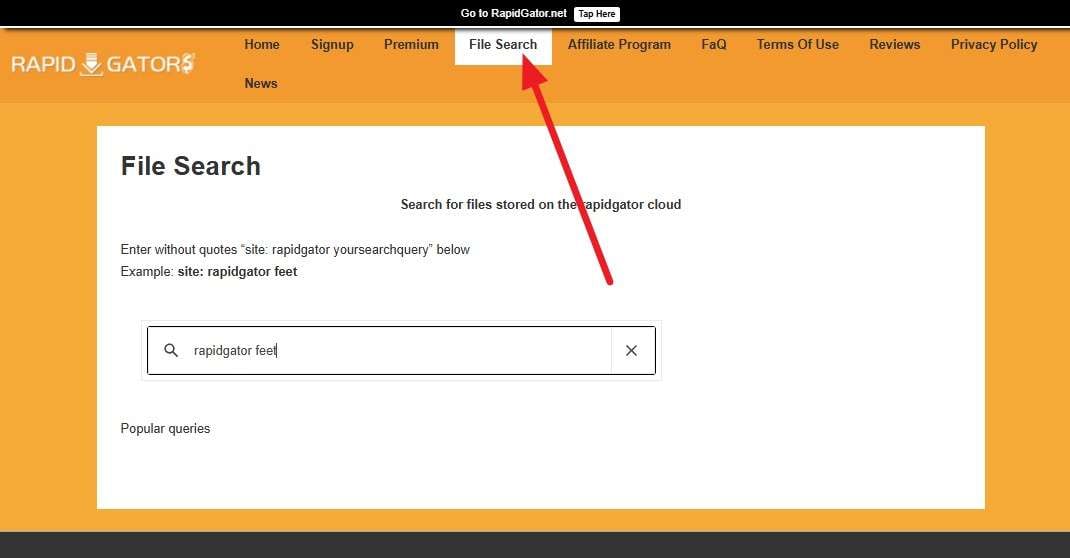 go to file search