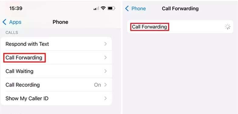 checking call forward setting
