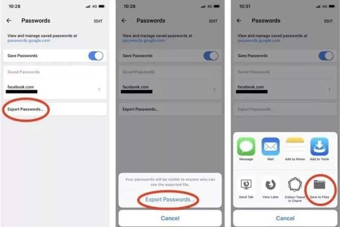 export passwords