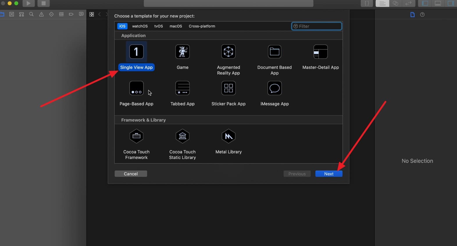 choose single view app and next