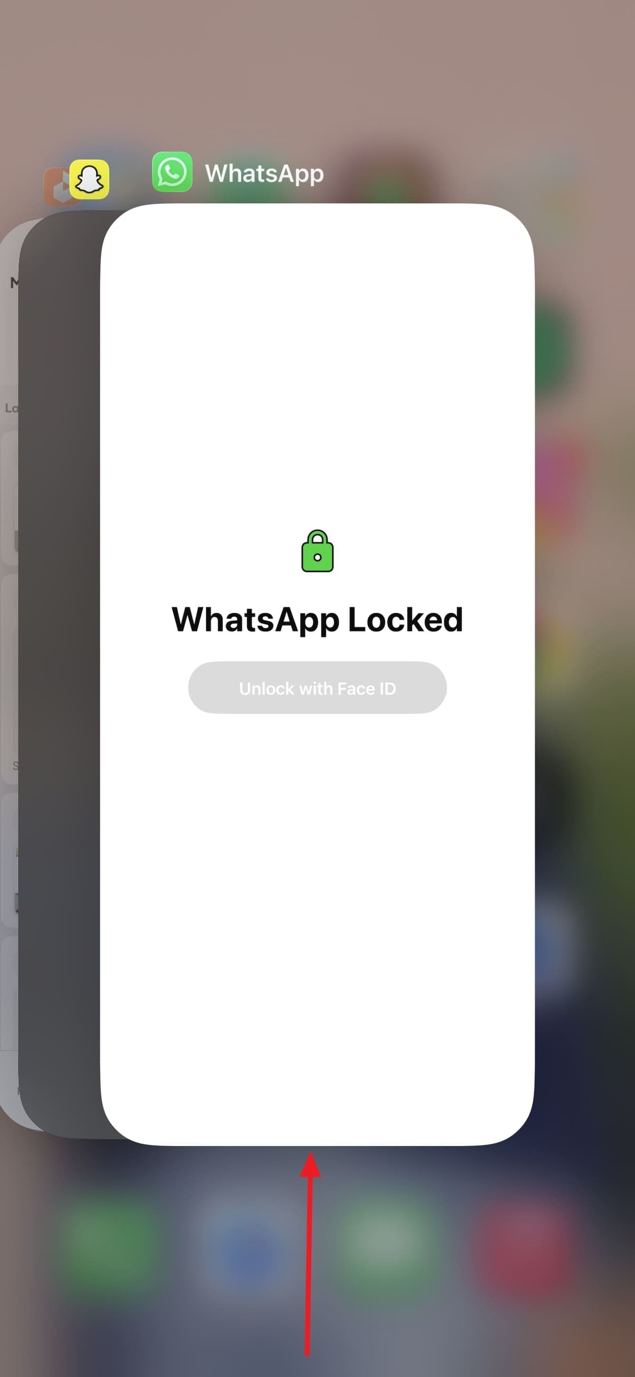 force quit the app