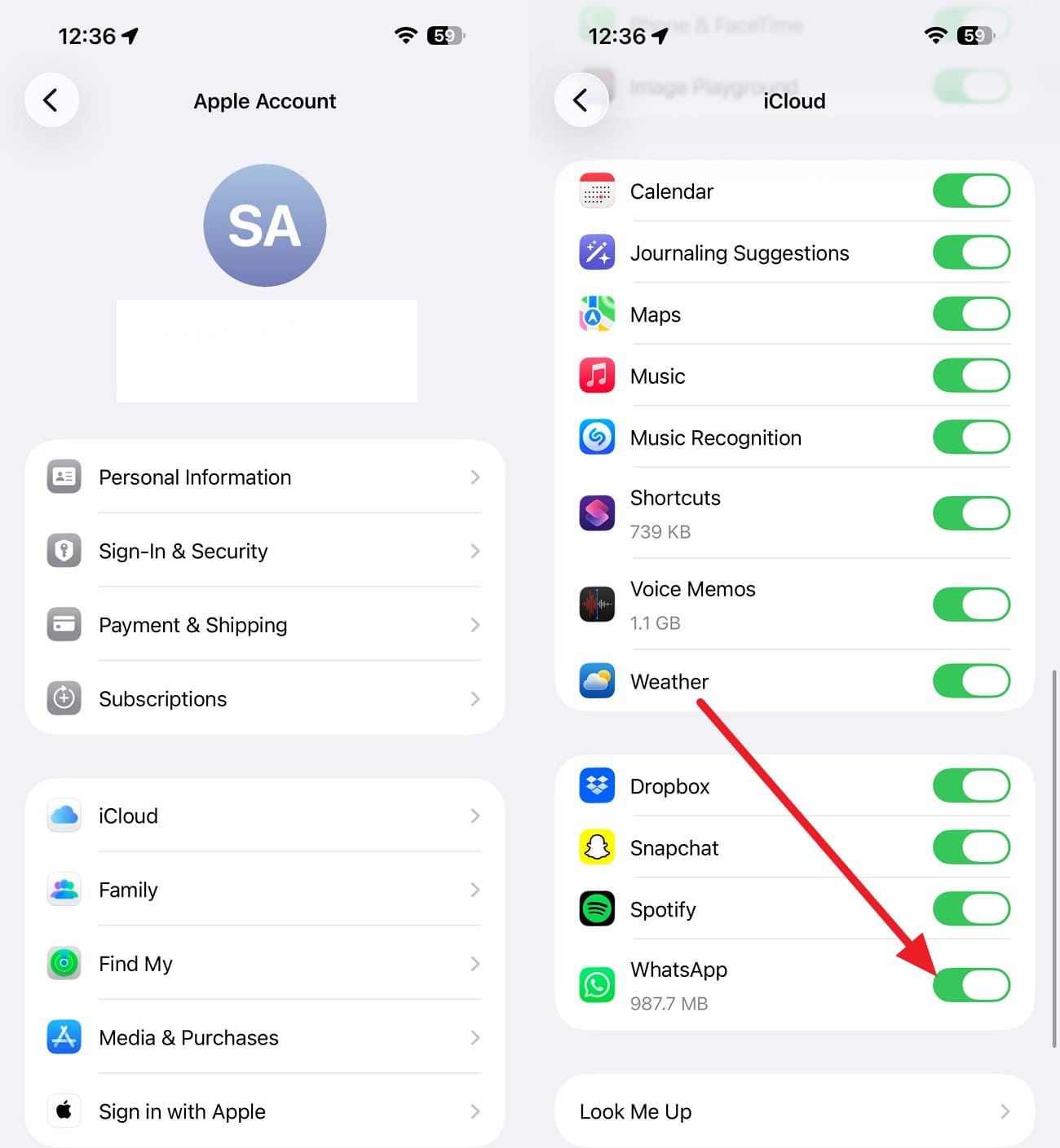 enable whatsapp option