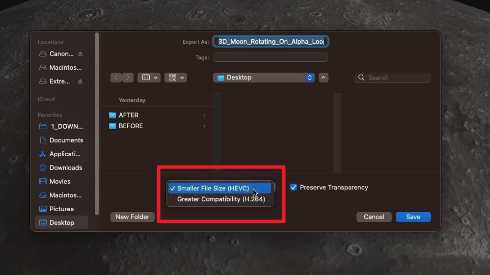choose format options