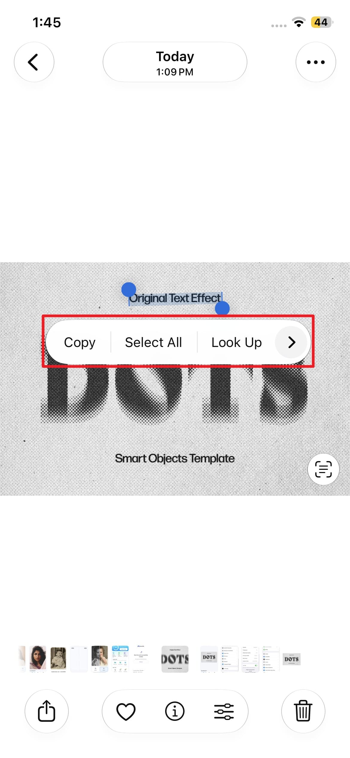 choose copy or share options