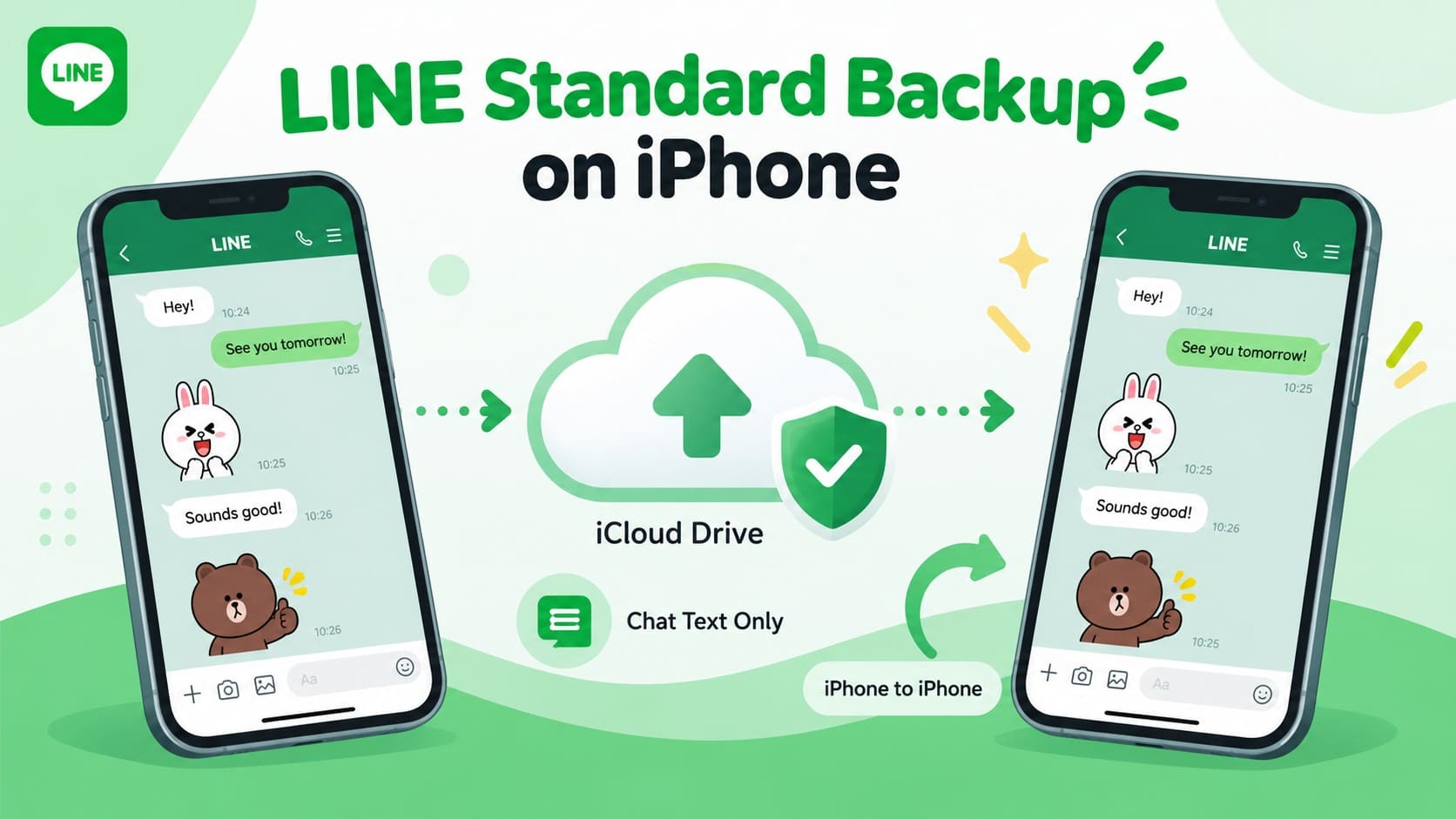 line standard backup details