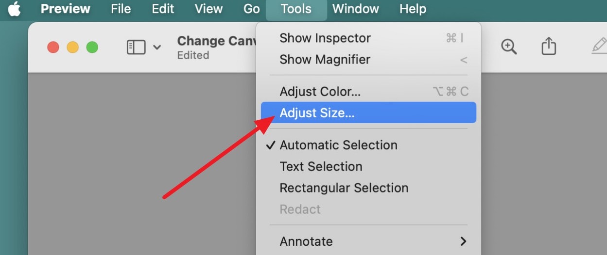 select adjust size option