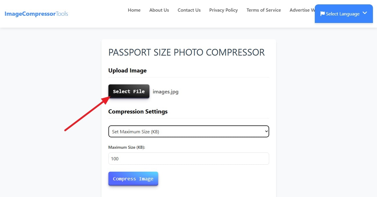 select the passport file