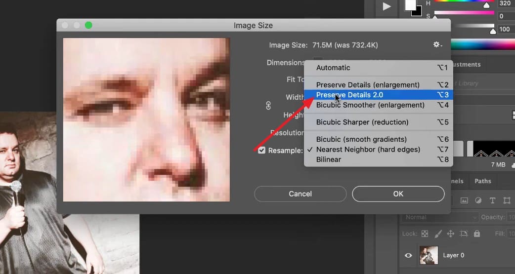 chose preserve details 2.0