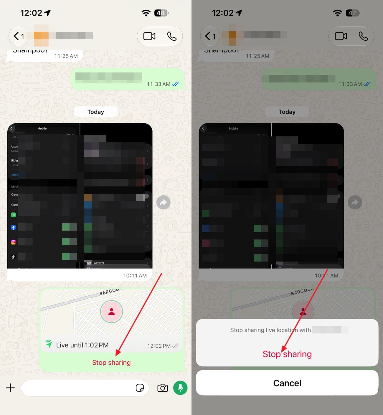 choose stop sharing option