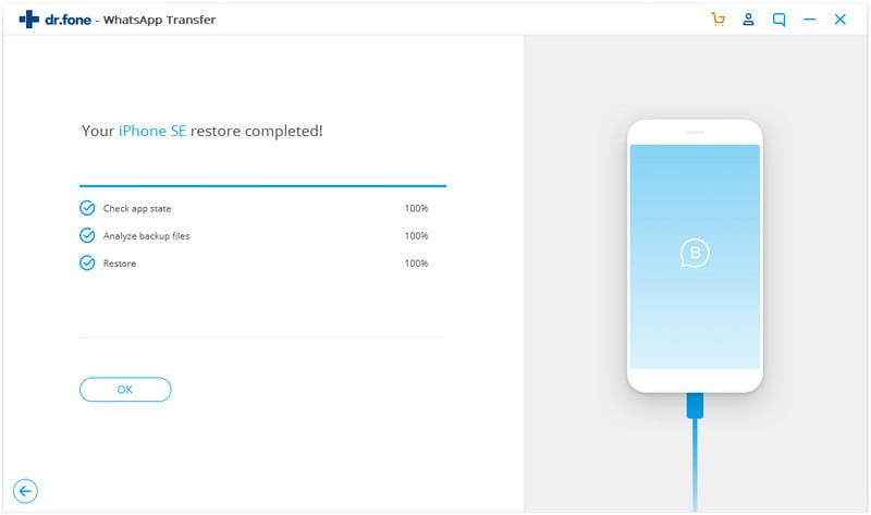 WhatsApp Business Transfer