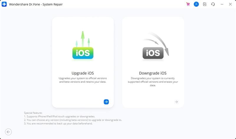 proceed with upgrade ios