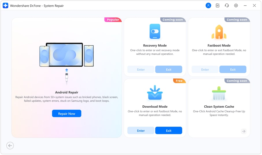 choose xiaomi as phone brand
