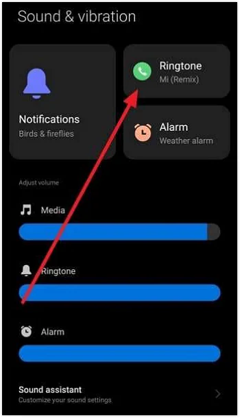 tap on the ringtone option