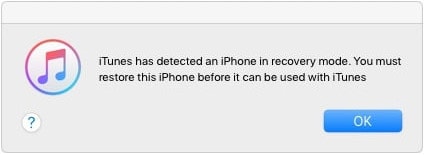iOS 14.6 downgrade-problem – vorgang hängt