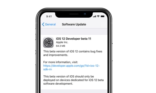 ios 12 problem - update not appear