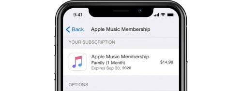 music problem in iOS 15 update