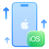 system recovery software icon