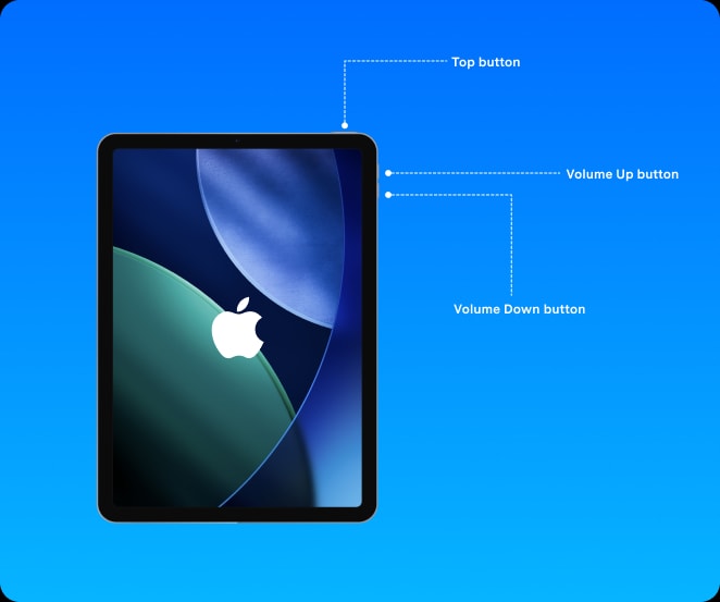 iPad Top and Volume buttons