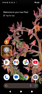 Open Settings on your Google Pixel