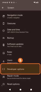 Tap Developer options on Google Pixel
