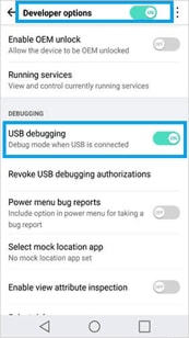 Turn on USB debugging on LG phone