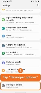 Tap Developer options on Samsung One UI 3