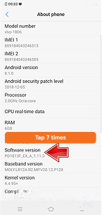 Tap Software version 7 times on Vivo phone
