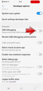 Tap Developer options on Vivo phone