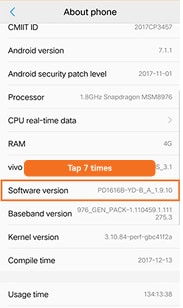 Tap Software version 7 times on older Vivo phone