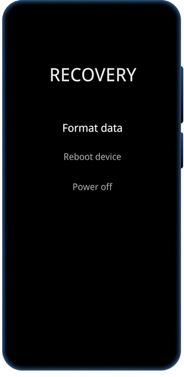 Wait for the ColorOS Recovery menu