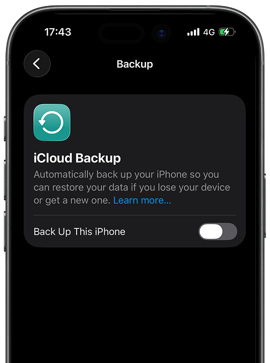 iCloud Backup