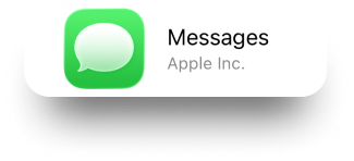 icon