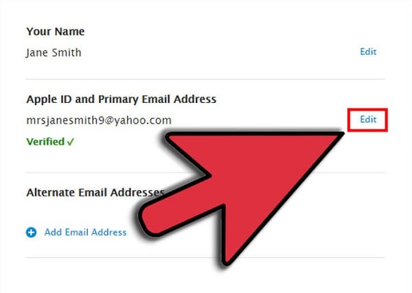 icloud-E-Mail zurücksetzen - neue Informationen in icloud-E-Mail einfügen