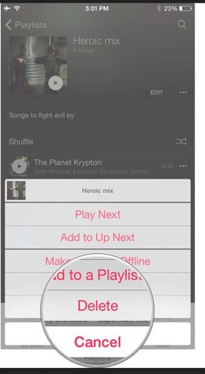 Delete Playlist from iPhone - Tap Delete Option