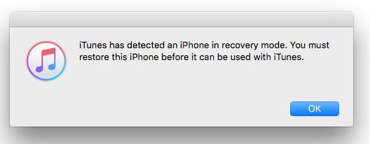 اكتشف iTunes جهاز iPhone في وضع الاسترداد