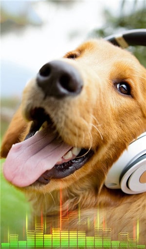 Klingelton-Apps für Android - Animal Sounds Ringtones Free