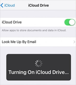 Sync Notes from iPhone to iPad Using iCloud - step 2: Turn on iCloud Drive